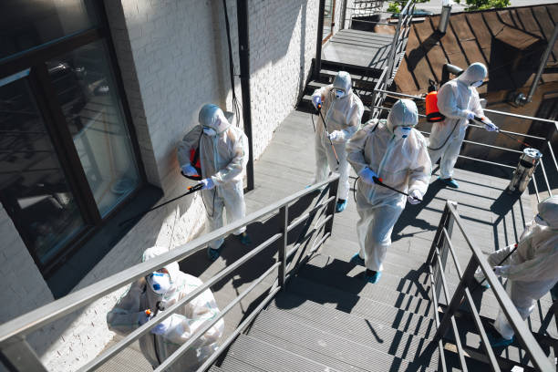Best Mold Prevention Services  in Roanoke Rapids, NC