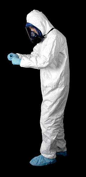 Best Mold Remediation for Rental Properties  in Roanoke Rapids, NC