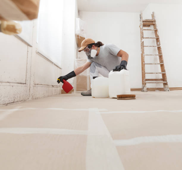 Best Mold Remediation for Healthcare Facilities  in Roanoke Rapids, NC